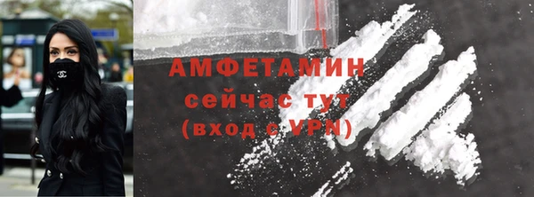 сатива Бронницы