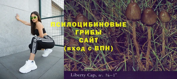 ECSTASY Богородск