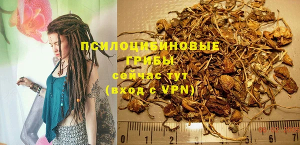 сатива Бронницы