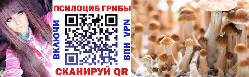 Псилоцибиновые грибы ЛСД  Вельск 